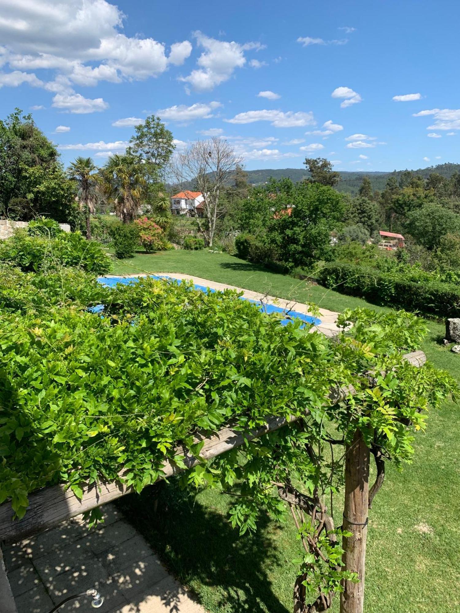 Quinta De Canhoes Сан-Педру-ду-Сул Экстерьер фото