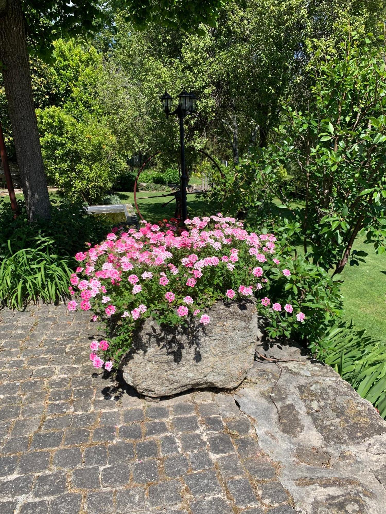 Quinta De Canhoes Сан-Педру-ду-Сул Экстерьер фото